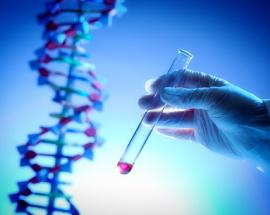 Pregnancy and Coronavirus