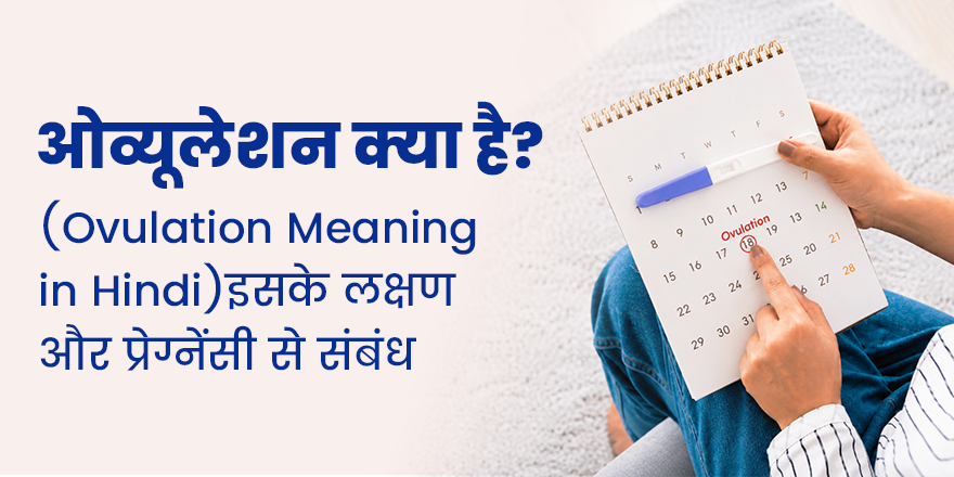ओव्यूलेशन क्या है? (Ovulation Meaning in Hindi), इसके लक्षण और प्रेग्नेंसी से संबंध