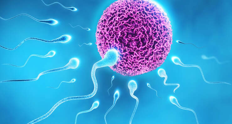 Ovulation Induction