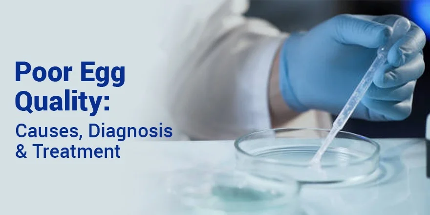 Poor Egg Quality and Fertility: Complete Guide to Causes and Treatment