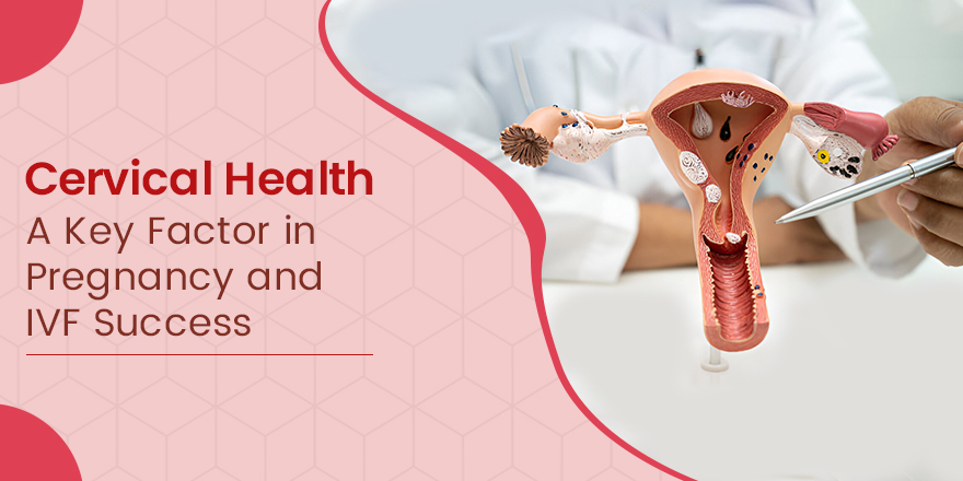 Cervical Health