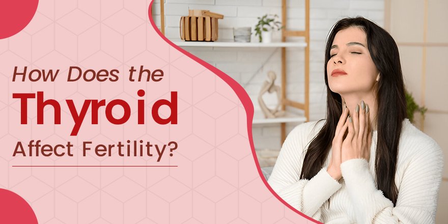 How Does the Thyroid Thyroid
