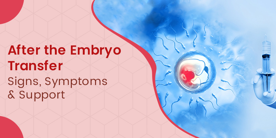 Embryo Transfer